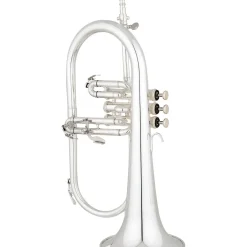 Eastman EFG512G Series Bb Flugelhorn Silver Gold Brass Bell