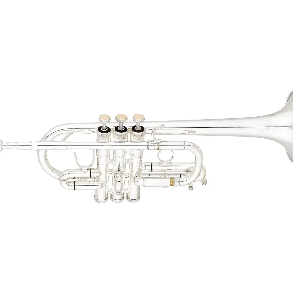 Eastman ETR540S Advanced Series Eb/D Trumpet Silver Yellow Brass Bell