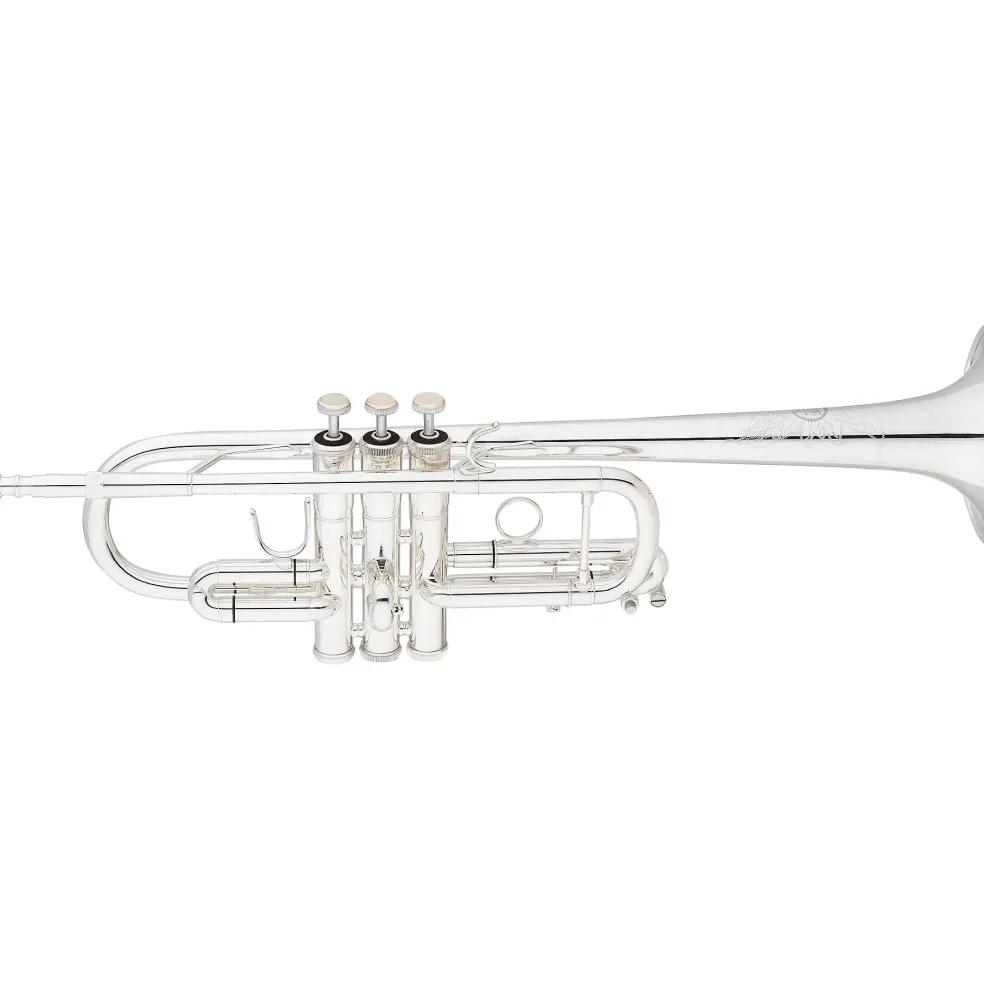 Eastman ETR530S Advanced Series Trumpet Silver Yellow Brass Bell