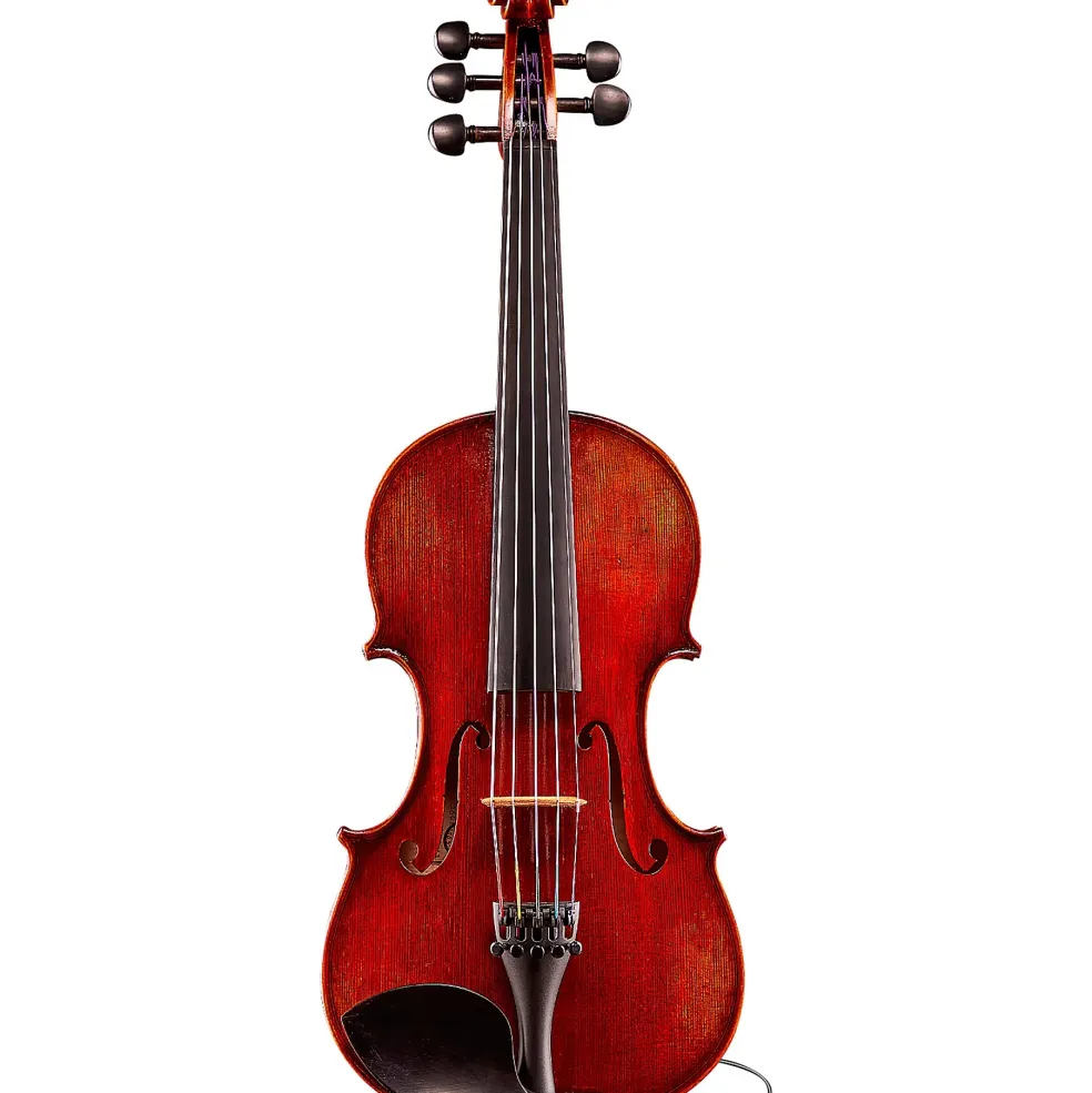 Eastman Rudoulf Doetsch VA7015 Series+ 5-String Viola Outfit with Case and Bow 16 in.
