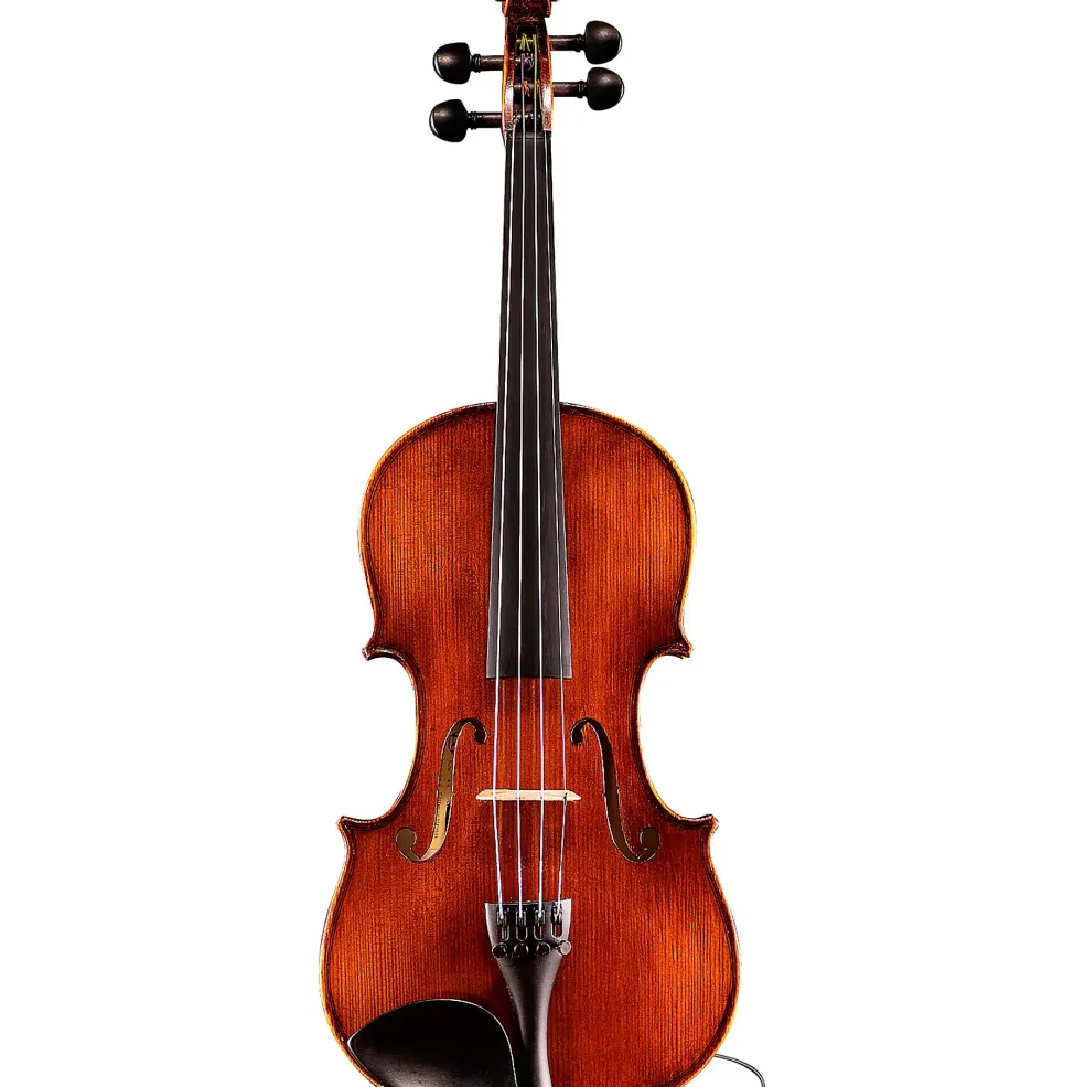 Eastman Samuel Eastman VL145 Series+ Violin Outfit with Case and Bow 4/4