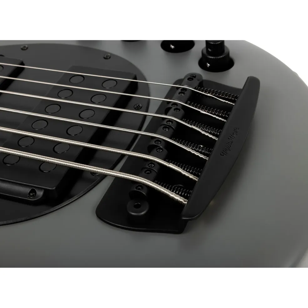 Ernie Ball Music Man Bongo 6 HH 6-String Bass Guitar Titan Gray