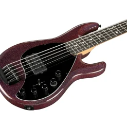 Ernie Ball Music Man DarkRay 5 H Ebony Fingerboard 5-String Electric Bass Dark Rainbow