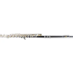 Etude EFL-200 Student Series Flute Offset G C-Foot