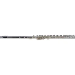 Etude EFL-200 Student Series Flute Offset G C-Foot