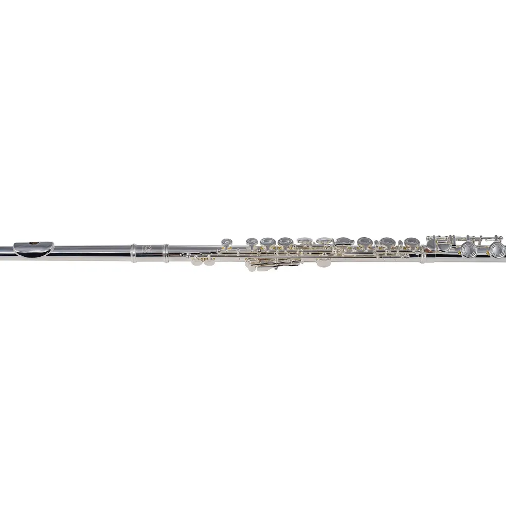 Etude EFL-200 Student Series Flute Offset G C-Foot