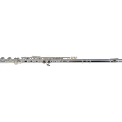 Etude EFL-200 Student Series Flute Offset G C-Foot