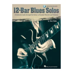 Hal Leonard 12-Bar Blues Solos Guitar Collection Series Softcover with CD Written by Dave Rubin