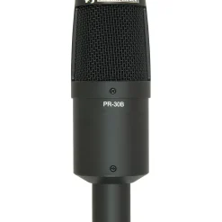 Heil Sound PR 30B Large-Diaphragm Dynamic Microphone Black
