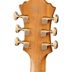 Ibanez PM200 Pat Metheny Signature Hollowbody Electric Guitar Natural