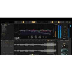 IK Multimedia T-RackS 5 MAX v2
