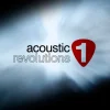 Impact Soundworks Acoustic Revolutions Vol 1 (Download)
