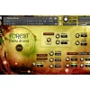 Impact Soundworks Forest Frame Drums (Download)