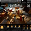 Indigisounds Laventille Rhythm Section