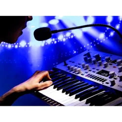 KORG KingKORG NEO VA Synthesizer