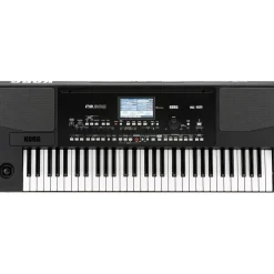 KORG PA300 61-Key Arranger