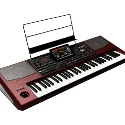 KORG Pa1000 61-Key Professional Arranger