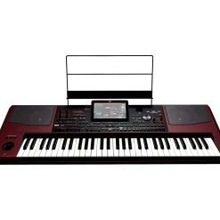 KORG Pa1000 61-Key Professional Arranger