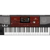 KORG Pa700 ORIENTAL 61-Key Arranger Workstation Black