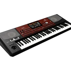 KORG Pa700 ORIENTAL 61-Key Arranger Workstation Black
