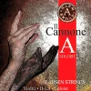 Larsen Strings Il Cannone Soloist Warm and Broad Violin A String 4/4 Size Aluminum Wound, Medium Gauge, Ball End