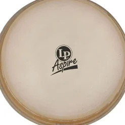 LP 11" Aspire Conga Head