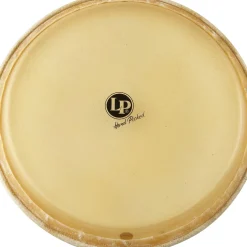 LP Conga Head 12.5 in.