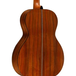 Martin 00L Oliver Limited-Edition Acoustic Guitar Graphic
