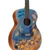 Martin OM Biosphere Acoustic Guitar Ocean