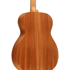 Martin OM Biosphere Acoustic Guitar Ocean
