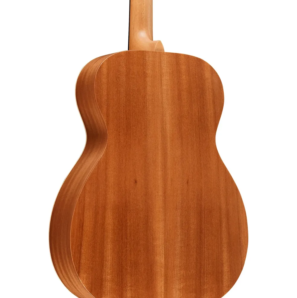 Martin OM Biosphere Acoustic Guitar Ocean