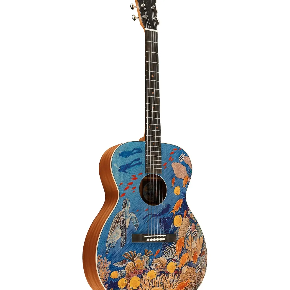 Martin OM Biosphere Acoustic Guitar Ocean