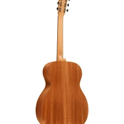 Martin OM Biosphere Acoustic Guitar Ocean