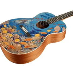 Martin OM Biosphere Acoustic Guitar Ocean