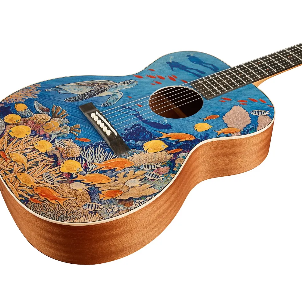 Martin OM Biosphere Acoustic Guitar Ocean