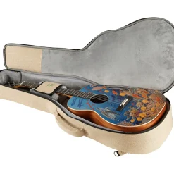 Martin OM Biosphere Acoustic Guitar Ocean