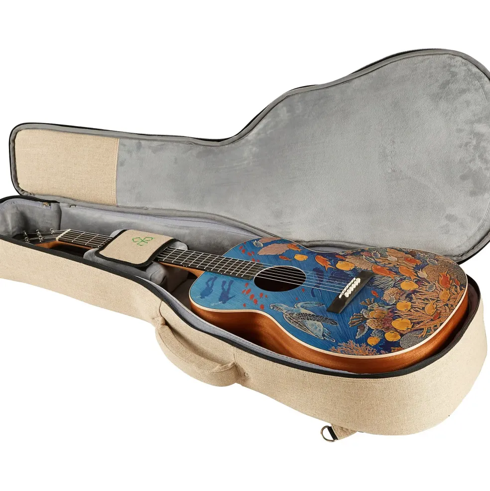 Martin OM Biosphere Acoustic Guitar Ocean