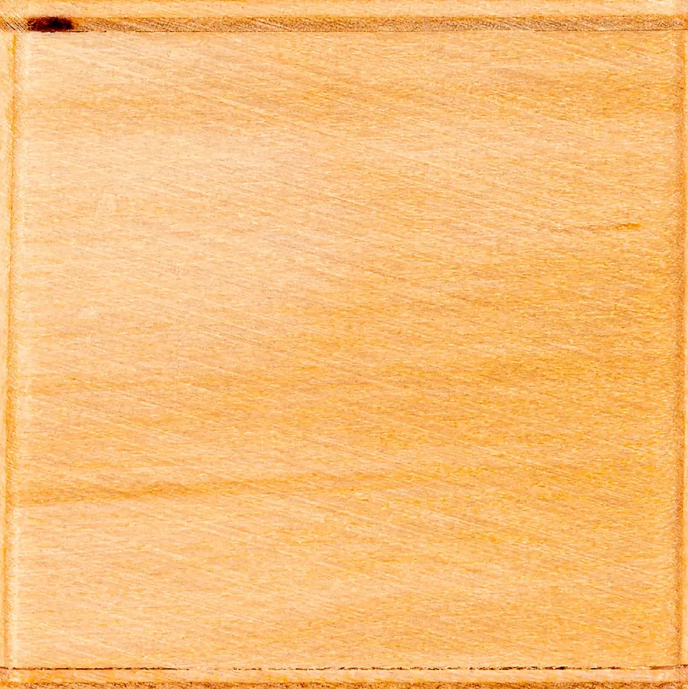 MEINL Mini Cajon Shaker