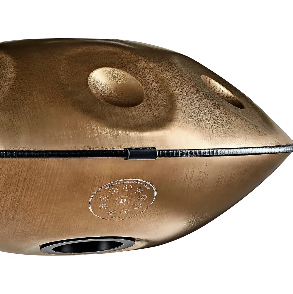 MEINL Sonic Energy D Kurd 10-Tone Sensory Handpan