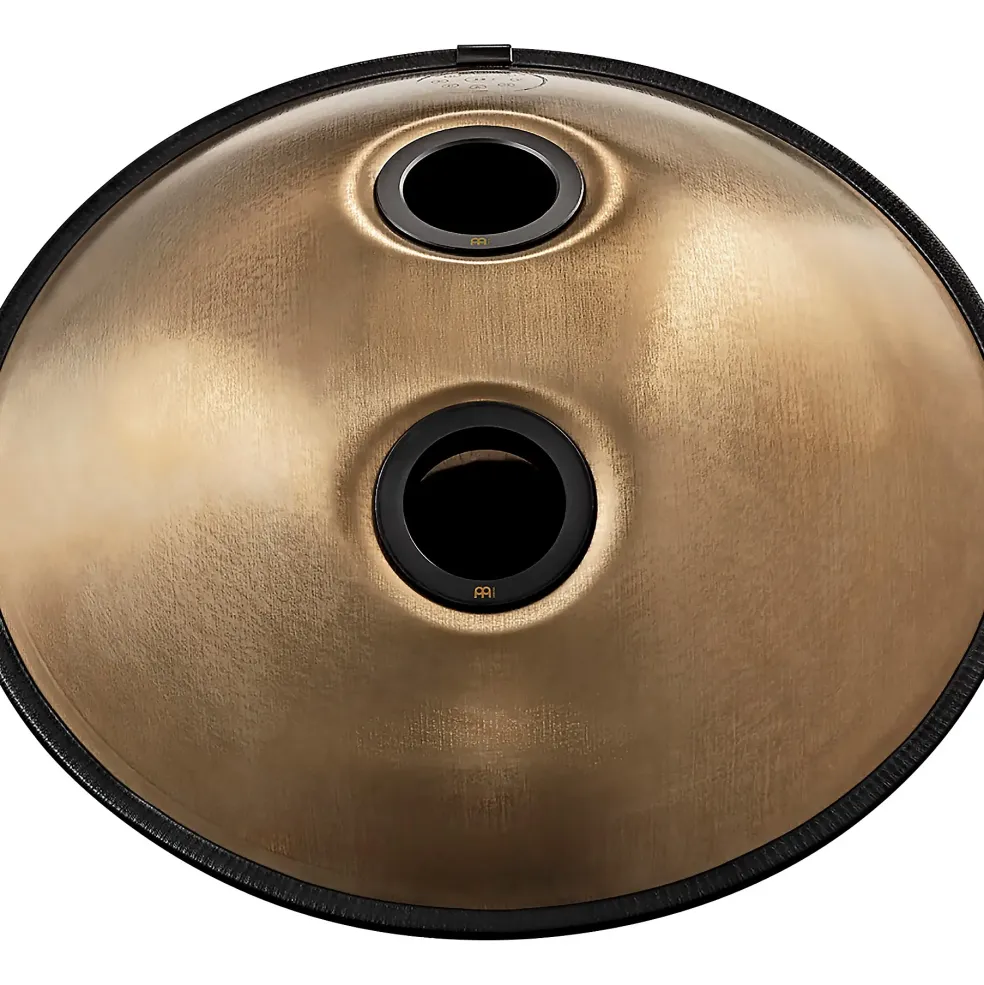 MEINL Sonic Energy D Kurd 10-Tone Sensory Handpan