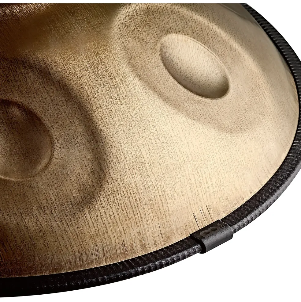 MEINL Sonic Energy D Kurd 10-Tone Sensory Handpan