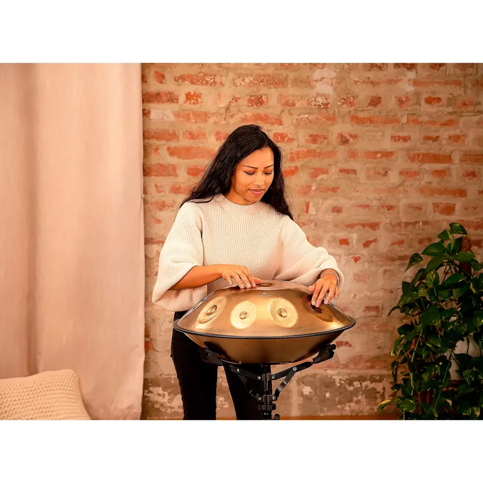 MEINL Sonic Energy D Kurd 10-Tone Sensory Handpan