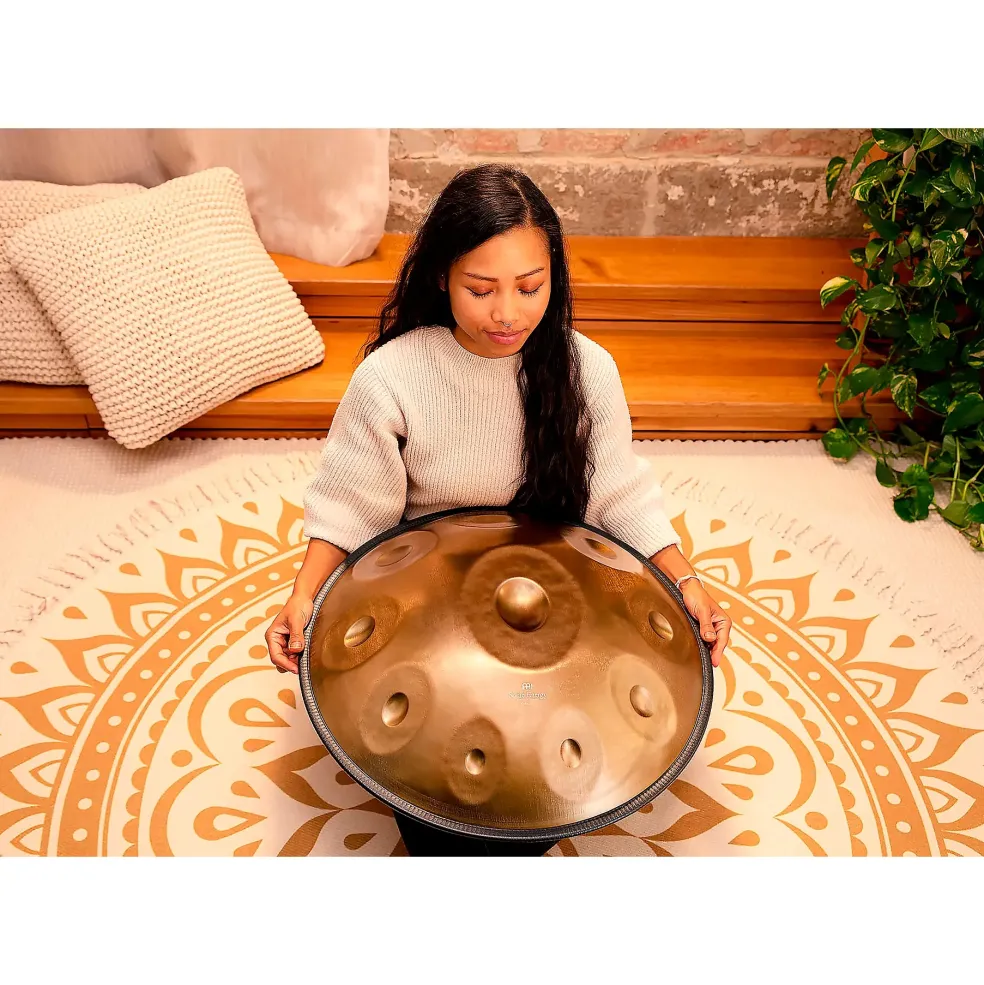 MEINL Sonic Energy D Kurd 10-Tone Sensory Handpan