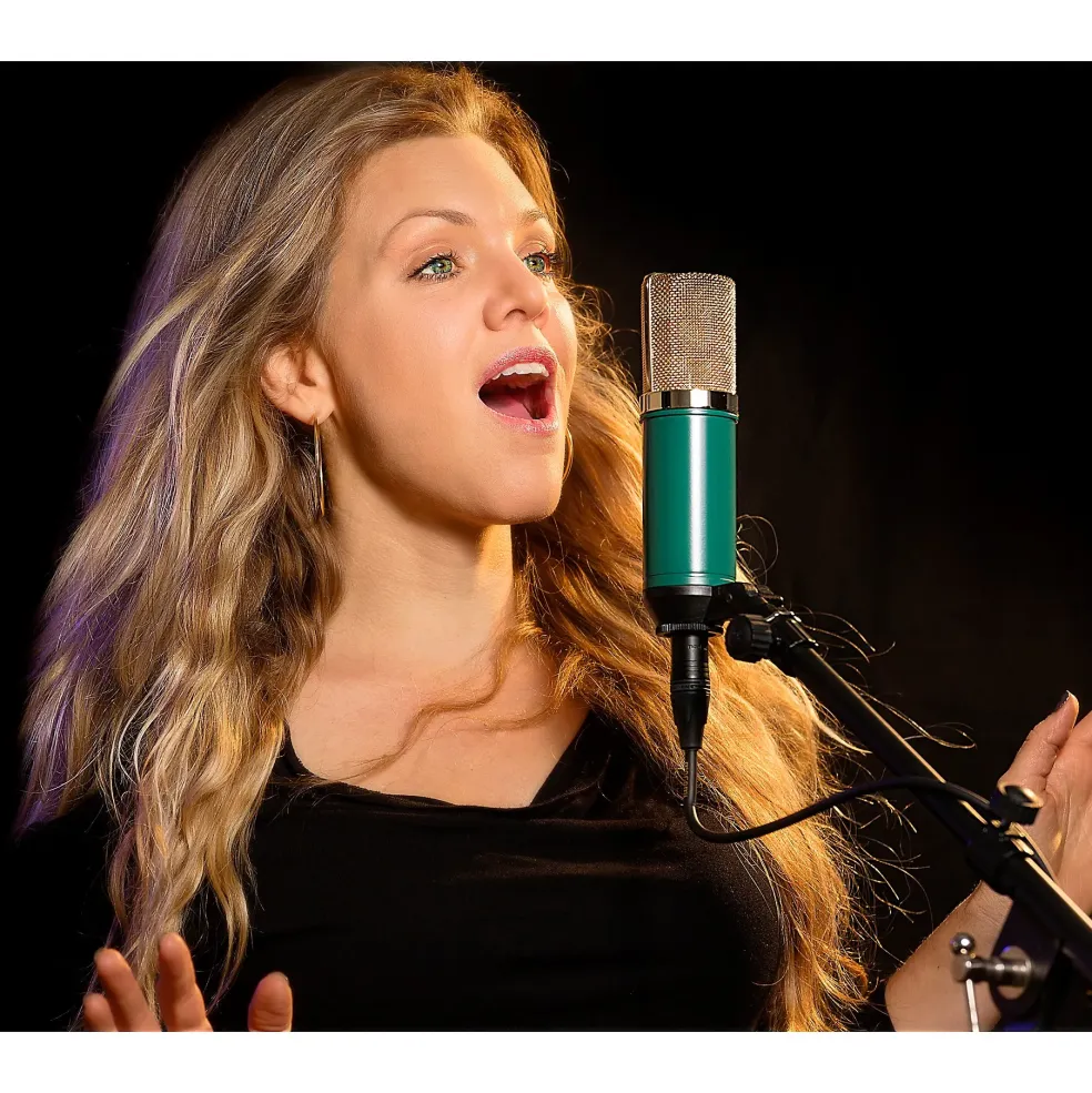 MXL V67G FET-Designed Condenser Microphone