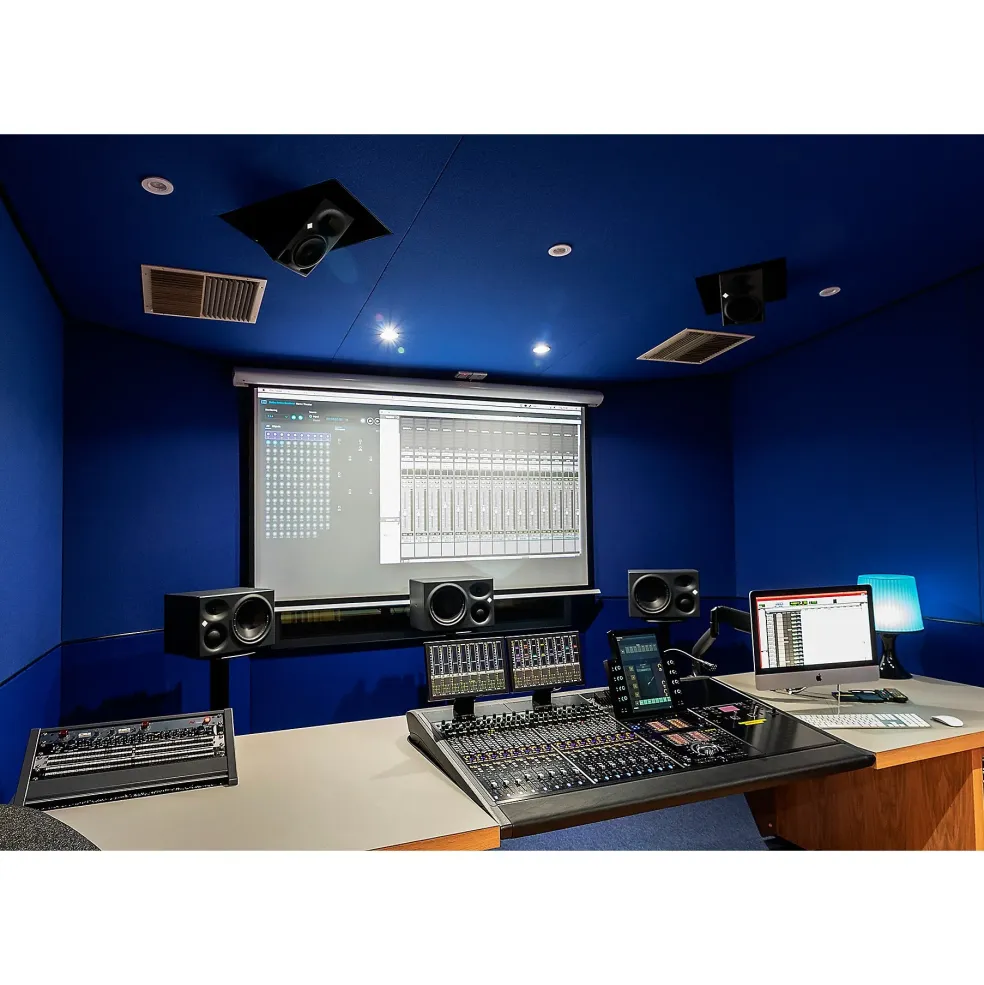 Neumann KH 810 10-inch Powered Studio Subwoofer (Each)