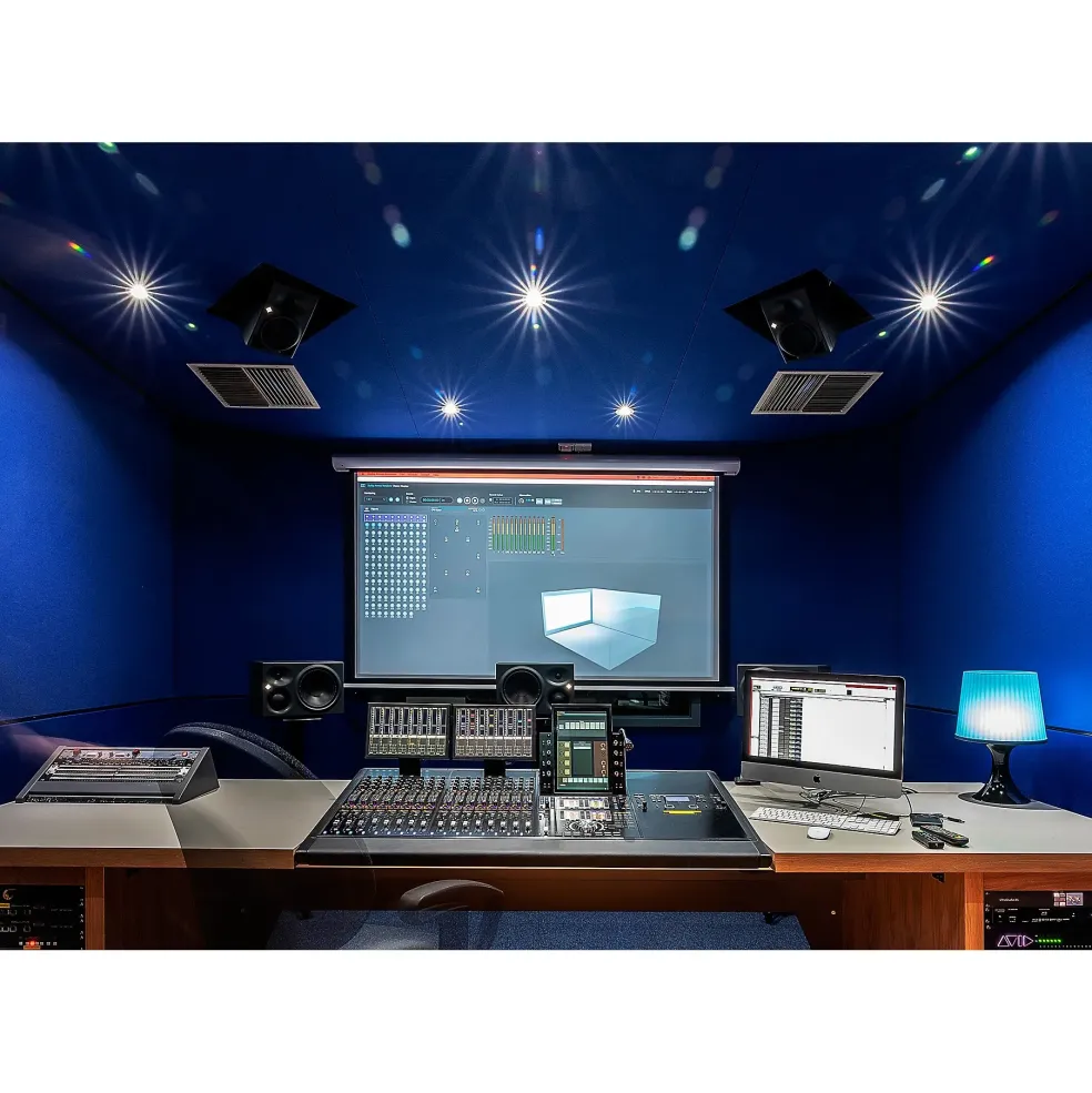 Neumann KH 810 10-inch Powered Studio Subwoofer (Each)