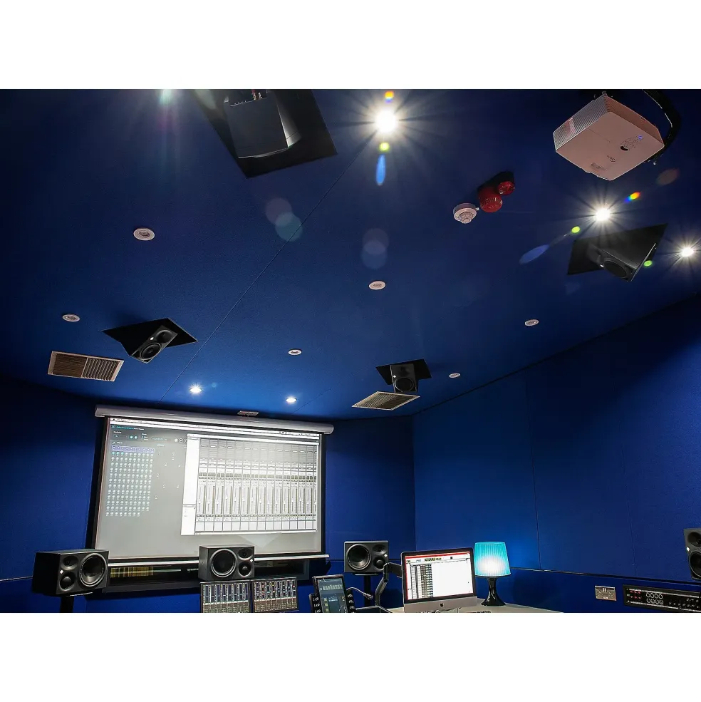 Neumann KH 810 10-inch Powered Studio Subwoofer (Each)