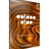 Overloud GoldenGlue Platinum - REmatrix Expansion IR Library (Download)