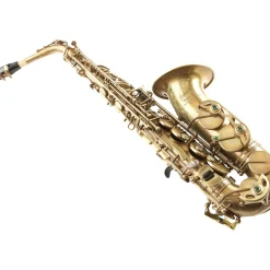 P. Mauriat PMXA-67R Series Professional Alto Saxophone Unlacquered