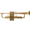 Phaeton PHT-LV-1200 "Las Vegas" Model Trumpet Brushed Brass Finish
